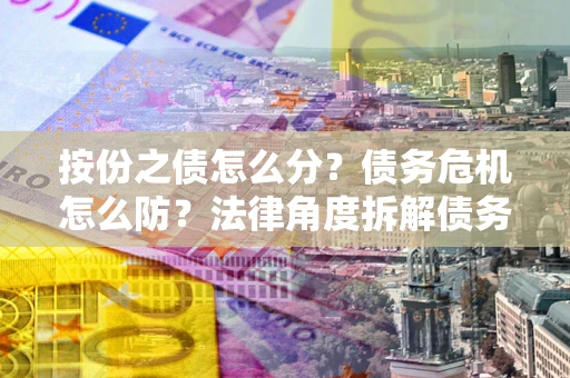 武汉按份之债怎么分？债务危机怎么防？法律角度拆解债务分配与风险自保指南