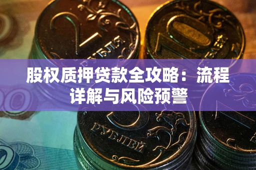 武汉股权质押贷款全攻略：流程详解与风险预警