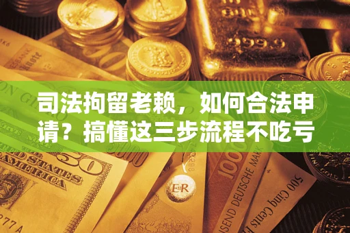 武汉司法拘留老赖，如何合法申请？搞懂这三步流程不吃亏！