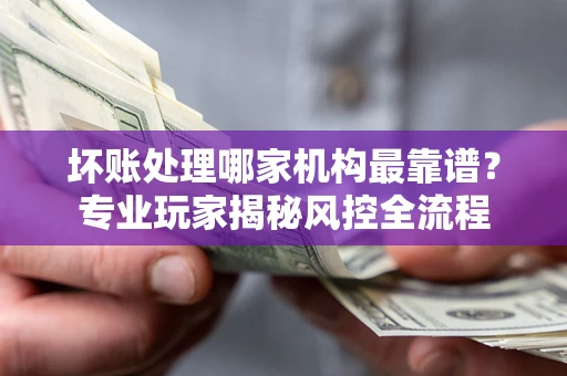 武汉坏账处理哪家机构最靠谱？专业玩家揭秘风控全流程
