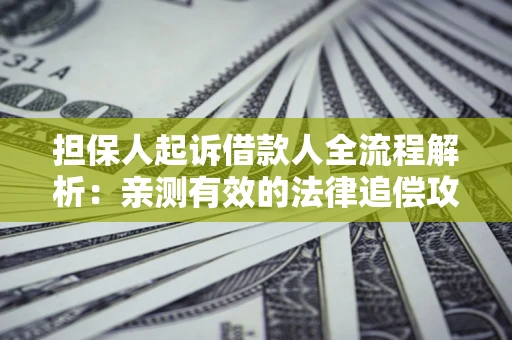 武汉担保人起诉借款人全流程解析：亲测有效的法律追偿攻略