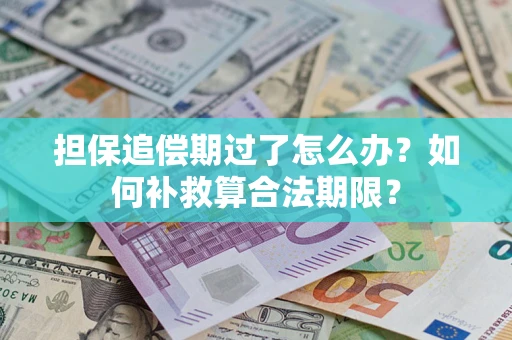 武汉担保追偿期过了怎么办？如何补救算合法期限？