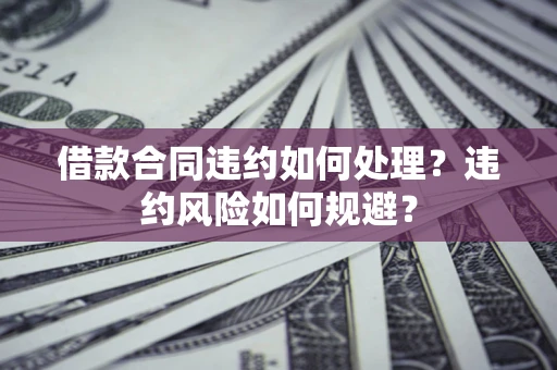 武汉借款合同违约如何处理？违约风险如何规避？