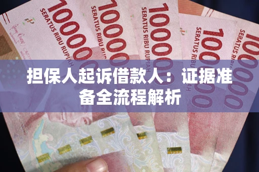 武汉担保人起诉借款人：证据准备全流程解析