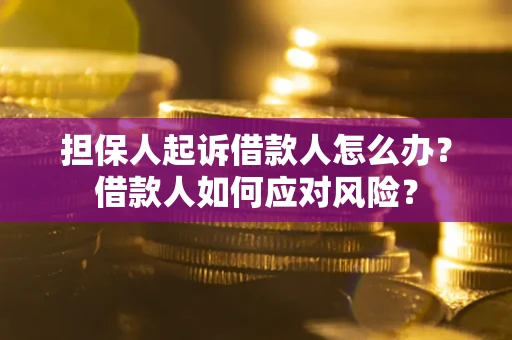 武汉担保人起诉借款人怎么办？借款人如何应对风险？