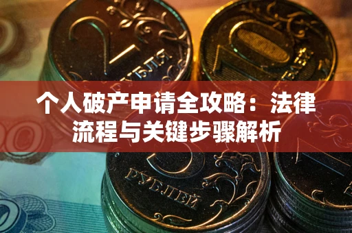 武汉个人破产申请全攻略：法律流程与关键步骤解析