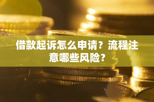 武汉借款起诉怎么申请？流程注意哪些风险？